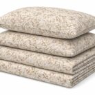 WhatsApp Image 2026-03-04 at 2.16.46 PM