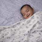 WhatsApp Image 2026-03-04 at 2.17.56 PM